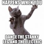 Stanky Leg and Electric Dance Effects! | THIS IS WHAT HAPPENS WHEN YOU; DANCE THE STANKY LEG AND THE ELECTRIC SLIDE,
MY MINIONS! | image tagged in happy dance cat | made w/ Imgflip meme maker