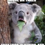 Americans will pay $5 trillion in federal. state & local taxes vs $4 trillion on necessities. | AMERICANS NOW SPEND MORE ON TAXES THAN FOOD, CLOTHING, AND HOUSING  . . . COMBINED. | image tagged in wtf koala | made w/ Imgflip meme maker