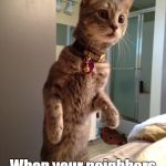 Cat Staring | When your neighbors are fighting | image tagged in cat staring | made w/ Imgflip meme maker