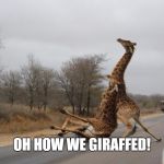 reminiscing giraffe | WE DRANK, WE SANG, WE GIRAFFED OH HOW WE GIRAFFED!                


I RAFF OUT ROUD JUST  THINKING ABOUT IT | image tagged in falling giraffe,lol,go home youre drunk,drunk guy,laugh out loud | made w/ Imgflip meme maker