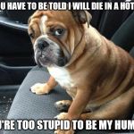 If you have to be told... | IF YOU HAVE TO BE TOLD I WILL DIE IN A HOT CAR; YOU'RE TOO STUPID TO BE MY HUMAN | image tagged in bulldog | made w/ Imgflip meme maker