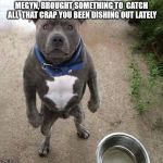 BAD DOG | MEGYN, BROUGHT SOMETHING TO  CATCH ALL  THAT CRAP YOU BEEN DISHING OUT LATELY | image tagged in bad dog | made w/ Imgflip meme maker