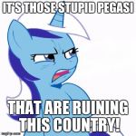 if donald trump was in mlp... | IT'S THOSE STUPID PEGASI; THAT ARE RUINING THIS COUNTRY! | image tagged in wtf pony,trump,the country | made w/ Imgflip meme maker