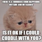 Would you let this cute cat snuggle with you? i know i would :D | THERE IS A THUNDERSTORM HAPPENING OUTSIDE AND IM SCARED. IS IT OK IF I COULD CUDDLE WITH YOU? | image tagged in cute cat is sad | made w/ Imgflip meme maker