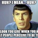Disbelieving Spock | HUH? I MEAN.... HUH? THE LOOK YOU GIVE WHEN YOU HEAR WHAT PEOPLE PERCEIVE TO BE TRUE... | image tagged in disbelieving spock | made w/ Imgflip meme maker