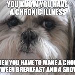 Dysautonomia Dog | YOU KNOW YOU HAVE A CHRONIC ILLNESS; WHEN YOU HAVE TO MAKE A CHOICE BETWEEN BREAKFAST AND A SHOWER | image tagged in dysautonomia dog | made w/ Imgflip meme maker