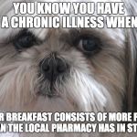 Dysautonomia Dog | YOU KNOW YOU HAVE A CHRONIC ILLNESS WHEN; YOUR BREAKFAST CONSISTS OF MORE PILLS THAN THE LOCAL PHARMACY HAS IN STOCK | image tagged in dysautonomia dog | made w/ Imgflip meme maker