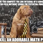 Math Puppy | EVERY TIME YOU COMPUTE THE LINE INTEGRAL OF A CONSERVATIVE VECTOR FIELD WITHOUT USING THE POTENTIAL FUNCTION; YOU KILL AN ADORABLE MATH PUPPY | image tagged in math puppy | made w/ Imgflip meme maker
