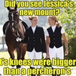 When society girls dish dirt | Did you see Jessica's new mount? It's knees were bigger than a percheron's | image tagged in iloveanimals,society girls,gossip | made w/ Imgflip meme maker