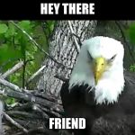 Eagle Doc. | HEY THERE; FRIEND | image tagged in eagle doc | made w/ Imgflip meme maker