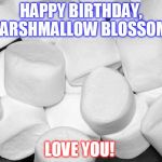 Marshmallow | HAPPY BIRTHDAY, MARSHMALLOW BLOSSOM!! LOVE YOU! | image tagged in marshmallow | made w/ Imgflip meme maker