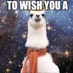 Happy Birthday Alpaca | LLAMA JUST HERE TO WISH YOU A; HAPPY BIRTHDAY! | image tagged in happy birthday alpaca | made w/ Imgflip meme maker