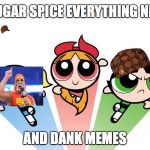 Power puff girls | SUGAR SPICE EVERYTHING NICE AND DANK MEMES | image tagged in power puff girls,scumbag | made w/ Imgflip meme maker