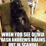 terrified dog | WHEN YOU SEE OLIVIA; BASH ANDREWS BRAINS OUT IN SCANDAL | image tagged in terrified dog | made w/ Imgflip meme maker