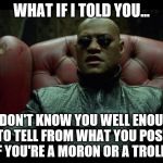 What if I told you...  lmao | WHAT IF I TOLD YOU... ...I DON'T KNOW YOU WELL ENOUGH TO TELL FROM WHAT YOU POST IF YOU'RE A MORON OR A TROLL? | image tagged in what if i told you,memes,morons,trolls,matrix morpheus | made w/ Imgflip meme maker