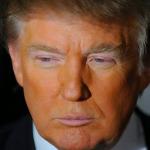 Orange Donald Trump  meme
