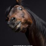 ScaryHorse | WATCH ME WHIP; WATCH ME NEIGH NEIGH | image tagged in scaryhorse | made w/ Imgflip meme maker