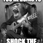 Monkey birthday jam | DON'T YOU KNOW YOU'RE GOING TO; SHOCK THE MONKEY | image tagged in monkey birthday jam | made w/ Imgflip meme maker
