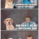 Dad Frisbee Joke Dog | I WONDERED WHY THE FRISBEE WAS GETTING BIGGER... AND THEN IT HIT ME!     WATCH OUT DOG! | image tagged in dad joke frisbee dog,memes | made w/ Imgflip meme maker