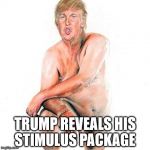 tremendous growth | TRUMP REVEALS HIS STIMULUS PACKAGE | image tagged in nude trump | made w/ Imgflip meme maker