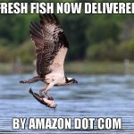Amazon'r Osprey delivery plan | FRESH FISH NOW DELIVERED; BY AMAZON DOT COM | image tagged in osprey with catfish,memes,amazon | made w/ Imgflip meme maker