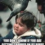 Bird Poop Blues | LIFE SUCKS WHEN; YOU DON'T KNOW IF YOU ARE GETTING CRAPPED ON BY BIRDS OR PARENTS WHO DON'T CARE! | image tagged in bird poop blues | made w/ Imgflip meme maker
