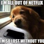 Lovesick | I'M ALL OUT OF NETFLIX; I'M SO LOST WITHOUT YOU | image tagged in lovesick | made w/ Imgflip meme maker