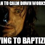 Aragorn would know | TELLING A WOMAN TO CALM DOWN WORKS ABOUT AS WELL; AS TRYING TO BAPTIZE A CAT | image tagged in aragorn - not nearly frightened enough,women | made w/ Imgflip meme maker
