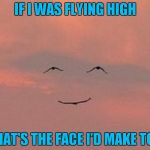 I don't know about the rest of you, but I would love to be able to fly! | IF I WAS FLYING HIGH; THAT'S THE FACE I'D MAKE TOO | image tagged in high fly smile,funny animals,memes,birds,funny,bird face | made w/ Imgflip meme maker