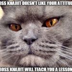Boss Khajiit | BOSS KHAJIIT DOESN'T LIKE YOUR ATTITUDE. BOSS KHAJIIT WILL TEACH YOU A LESSON. | image tagged in boss khajiit | made w/ Imgflip meme maker