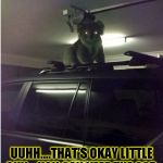 Creepy koala  | UUHH....THAT'S OKAY LITTLE GUY....YOU CAN KEEP THE CAR. | image tagged in funny,koala,memes,australia,wtf | made w/ Imgflip meme maker