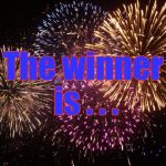 fireworks | The winner is . . . | image tagged in fireworks | made w/ Imgflip meme maker