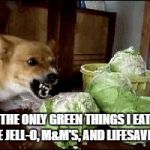 lettuce | THE ONLY GREEN THINGS I EAT ARE JELL-O, M&M'S, AND LIFESAVERS. | image tagged in lettuce | made w/ Imgflip meme maker