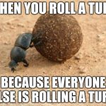Lack of autonomy | WHEN YOU ROLL A TURD; BECAUSE EVERYONE ELSE IS ROLLING A TURD | image tagged in hard working dung beetle,followers,memes | made w/ Imgflip meme maker