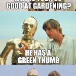 Bad Pun Luke Skywalker | WHY IS YODA SO GOOD AT GARDENING? HE HAS A GREEN THUMB | image tagged in bad pun luke skywalker,star wars yoda,star wars,funny,yoda,bad pun | made w/ Imgflip meme maker