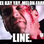 Not obscure if you follow cult film censorship.  | YIPPEE KAY YAY, MELON FARMER ! LINE. | image tagged in yippee kay yay,mcclane,movie | made w/ Imgflip meme maker