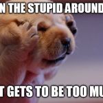 Annoyed pup | WHEN THE STUPID AROUND YOU; JUST GETS TO BE TOO MUCH. | image tagged in annoyed pup | made w/ Imgflip meme maker