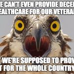 say what bird | WE CAN'T EVEN PROVIDE DECENT HEALTHCARE FOR OUR VETERANS; BUT WE'RE SUPPOSED TO PROVIDE IT FOR THE WHOLE COUNTRY? | image tagged in say what bird | made w/ Imgflip meme maker