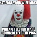 Pennywise  | THAT FACE YOUR WIFE MAKES; WHEN U TELL HER U ARE GOING TO FEED THE PIGS | image tagged in pennywise | made w/ Imgflip meme maker