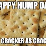 Crackers | HAPPY HUMP DAY; YOU CRACKER AS CRACKER | image tagged in crackers | made w/ Imgflip meme maker