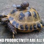 Snail riding turtle | SPEED AND PRODUCTIVITY ARE ALL RELATIVE | image tagged in snail riding turtle | made w/ Imgflip meme maker