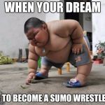 C:\Users\ItWeb\Pictures\memes\picdump73-16.jpg | WHEN YOUR DREAM; IS TO BECOME A SUMO WRESTLER. | image tagged in cusersitwebpicturesmemespicdump73-16jpg | made w/ Imgflip meme maker