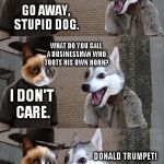 Introducing a new bad pun template: Bad Pun Dog and Grumpy Cat! I can change Bad Pun Dog's face to something else on request. | HEY GRUMPY CAT! GO AWAY, STUPID DOG. WHAT DO YOU CALL A BUSINESSMAN WHO TOOTS HIS OWN HORN? I DON'T CARE. DONALD TRUMPET! I WILL KILL YOU IN YOUR SLEEP. | image tagged in memes,bpdgc,bad pun dog,grumpy cat | made w/ Imgflip meme maker