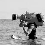 Go Pro