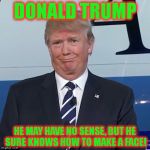 Lol, Donald Trump. Lol. | DONALD TRUMP; HE MAY HAVE NO SENSE, BUT HE SURE KNOWS HOW TO MAKE A FACE! | image tagged in lol donald trump. lol. | made w/ Imgflip meme maker
