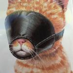 Cat Muzzle