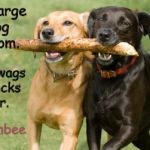 Dogs | America is a large friendly dog in a small room. Every time it wags its tail it knocks over a chair. - Arnold J. Toynbee | image tagged in dogs | made w/ Imgflip meme maker