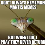 Oh wait... | I DON'T ALWAYS REMEMBER MANTIS MEMES; BUT WHEN I DO, I PRAY THEY NEVER RETURN | image tagged in praying mantis head,mantis,praying mantis | made w/ Imgflip meme maker