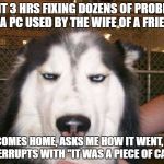 seriously_husky | SPENT 3 HRS FIXING DOZENS OF PROBLEMS ON A PC USED BY THE WIFE OF A FRIEND. HE COMES HOME, ASKS ME HOW IT WENT, SHE INTERRUPTS WITH "IT WAS A PIECE OF CAKE." | image tagged in seriously_husky | made w/ Imgflip meme maker