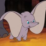 dumbo meme